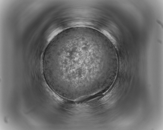 X0000096421384200802071653