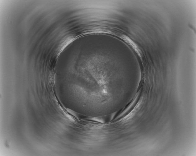 X0000096421385200802071653