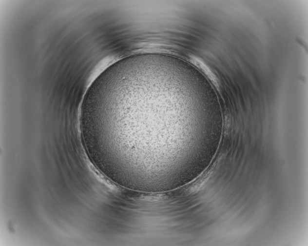 X0000096421386200802071653