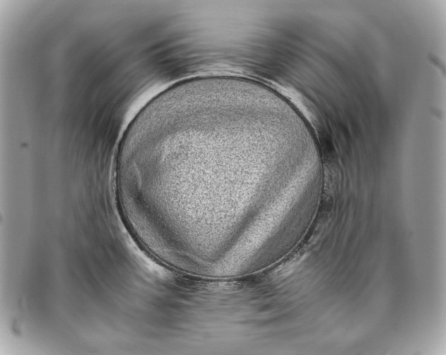 X0000096421387200802071653