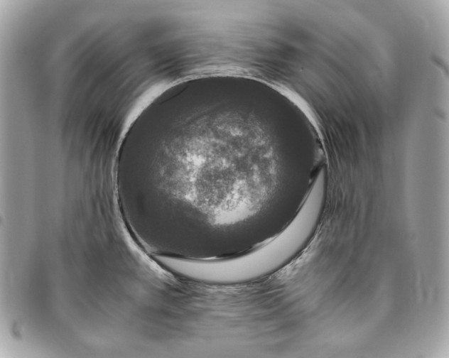 X0000096421389200802071653