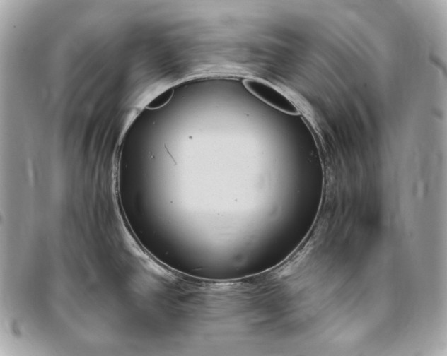 X0000096421390200802071653