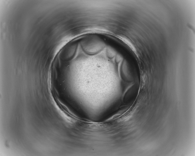 X0000096421391200802071653