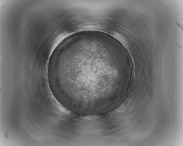 X0000096421392200802071653