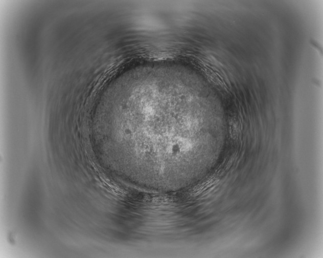 X0000096421393200802071652