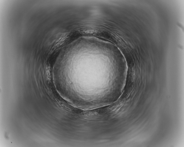 X0000096421394200802071652