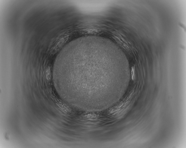 X0000096421395200802071652