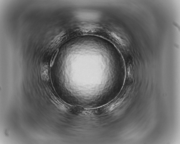 X0000096421396200802071652