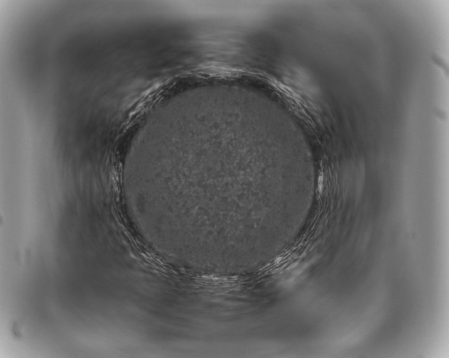 X0000096421397200802071652