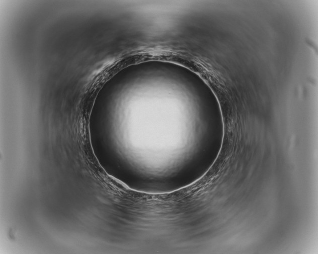 X0000096421398200802071652