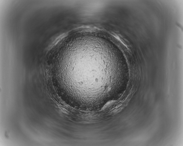 X0000096421399200802071652