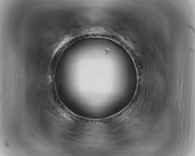 X0000096421400200802071652