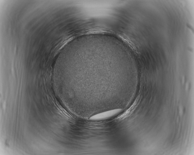 X0000096421401200802071652