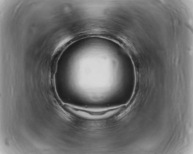 X0000096421402200802071652