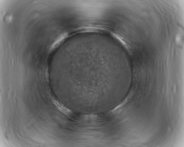 X0000096421403200802071652