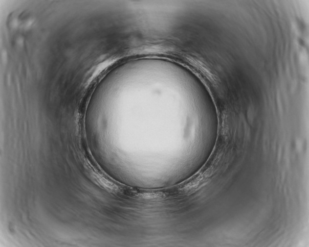 X0000096421404200802071652