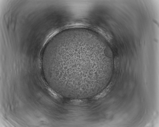 X0000096421405200802071652