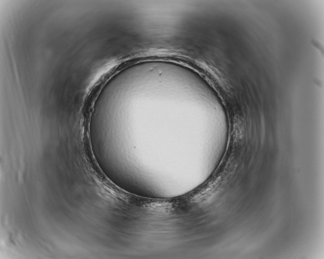 X0000096421406200802071652