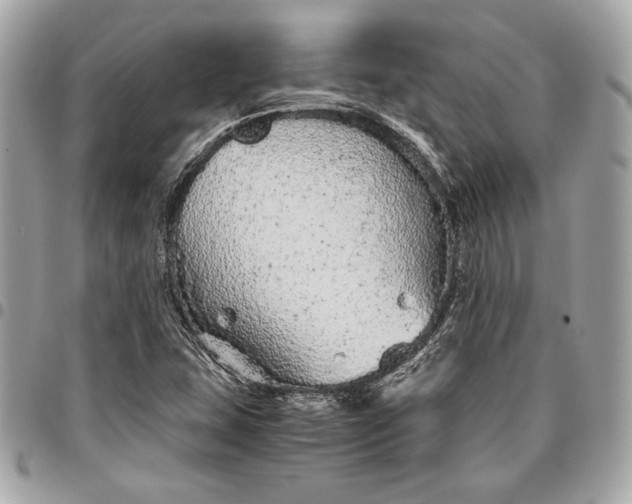 X0000096421407200802071652