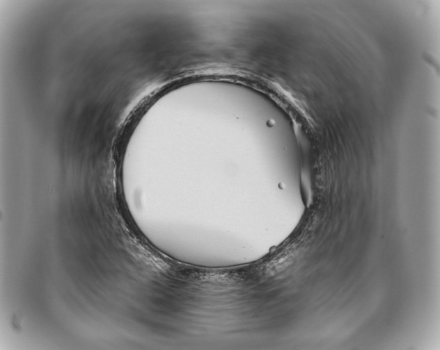 X0000096421408200802071652