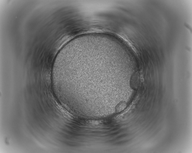 X0000096421409200802071652