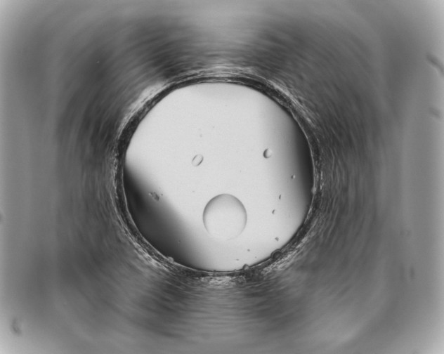 X0000096421410200802071652