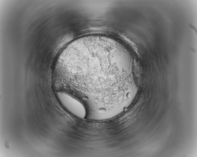 X0000096421411200802071652