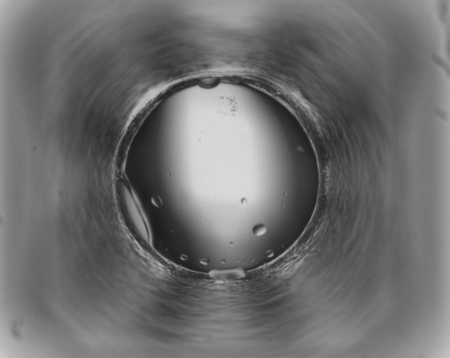 X0000096421412200802071652