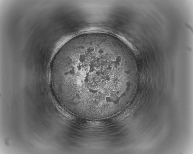 X0000096421413200802071652