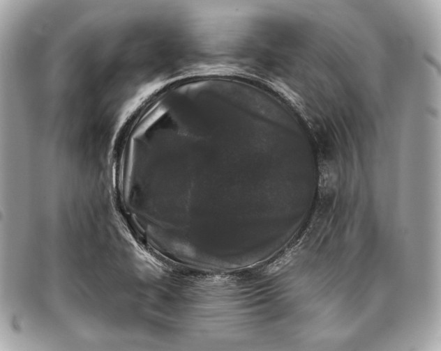 X0000096421414200802071652