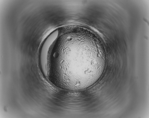 X0000096421415200802071652