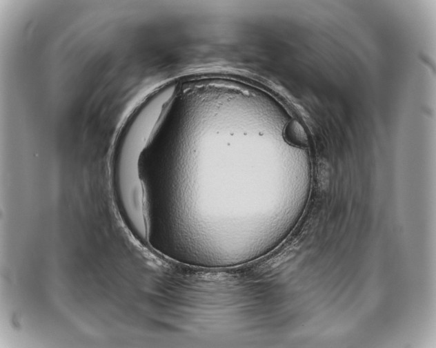 X0000096421416200802071652