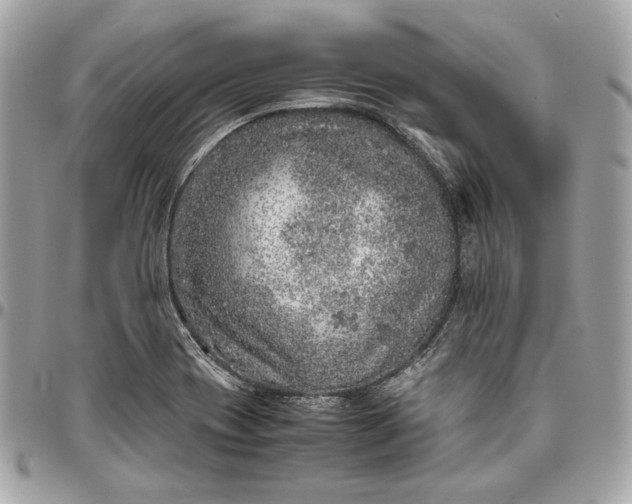 X0000096421417200802071652