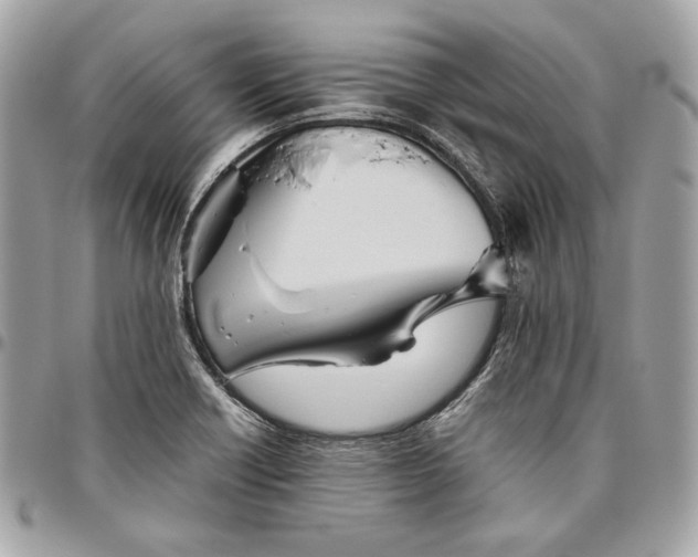 X0000096421418200802071652