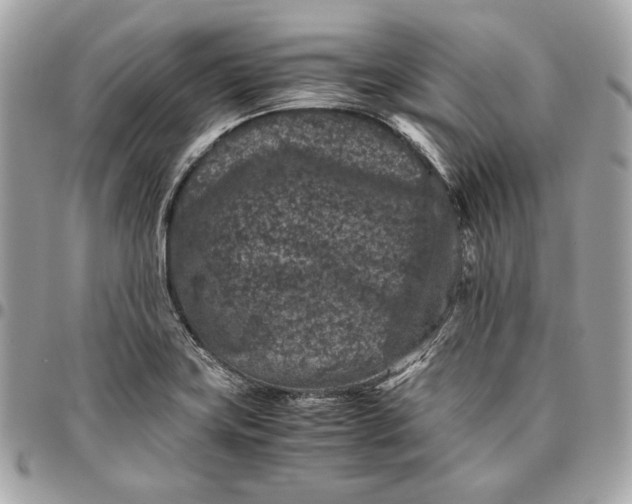 X0000096421419200802071652