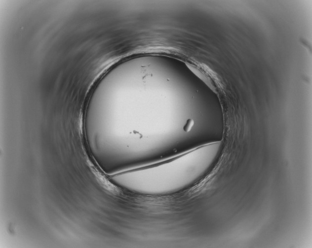 X0000096421420200802071652