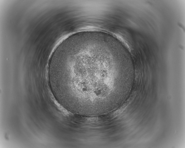 X0000096421421200802071652