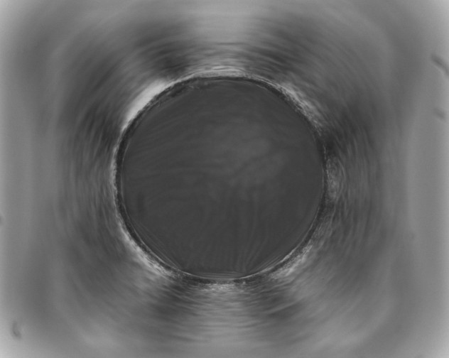 X0000096421422200802071652