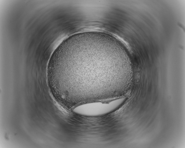 X0000096421423200802071652