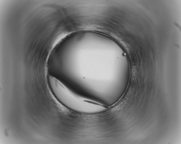 X0000096421424200802071652