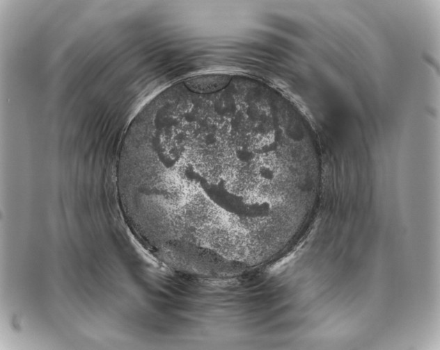 X0000096421425200802071652