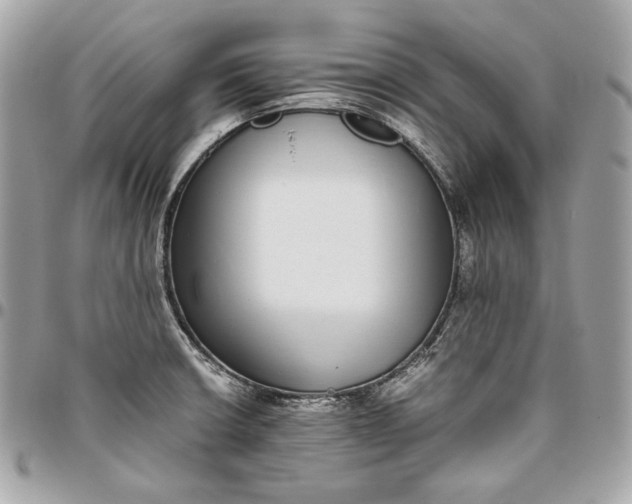 X0000096421426200802071652