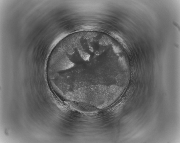 X0000096421427200802071652