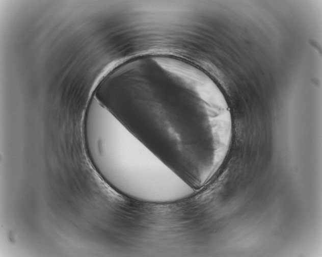 X0000096421428200802071652