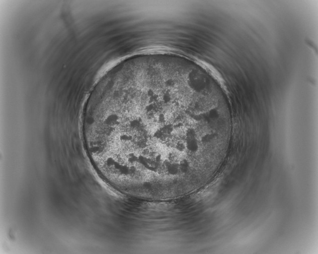 X0000096421429200802071652