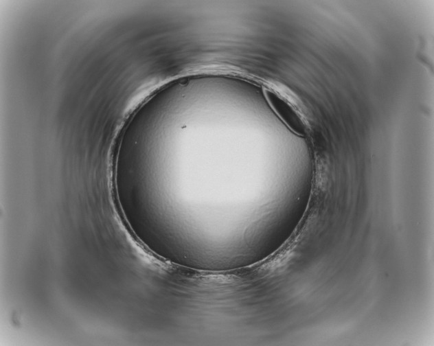 X0000096421430200802071652