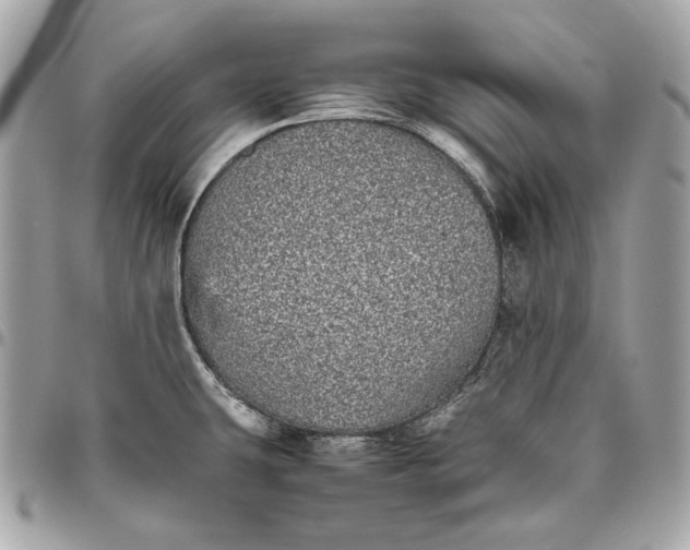 X0000096421431200802071652