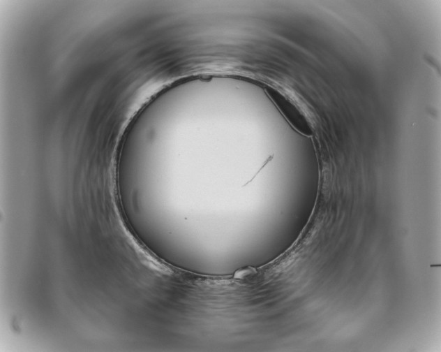 X0000096421432200802071652