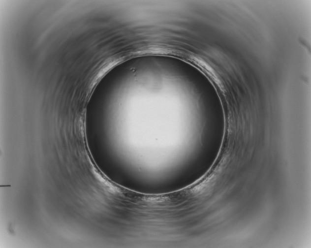 X0000096421433200802071652