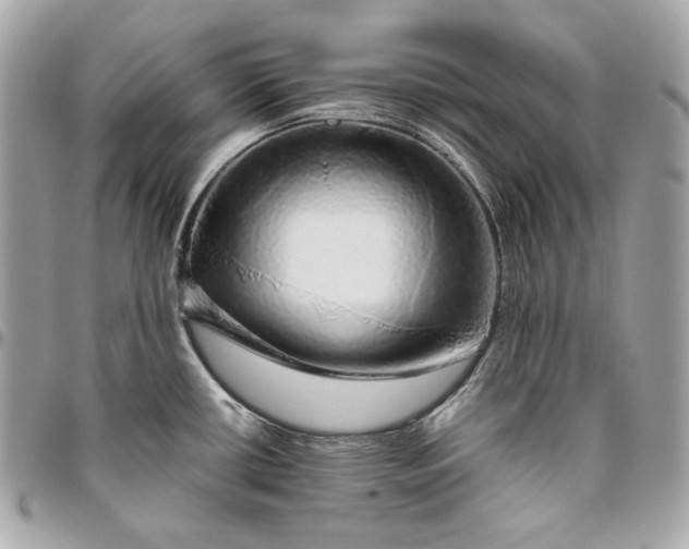 X0000096421434200802071652